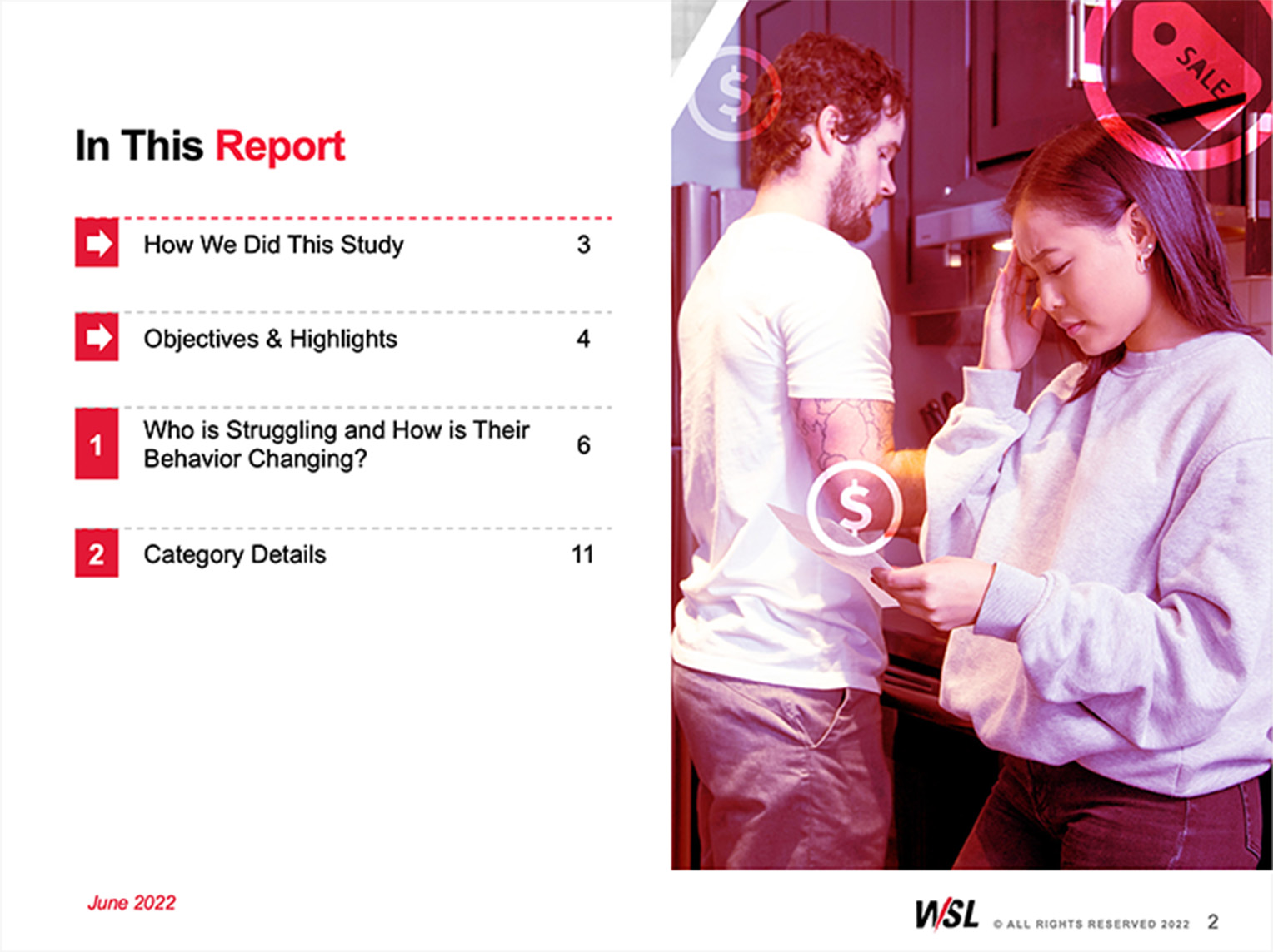 382x286-2x_ReportDetail-StrugglingShoppers@2x Struggling Shoppers Report Sample 1