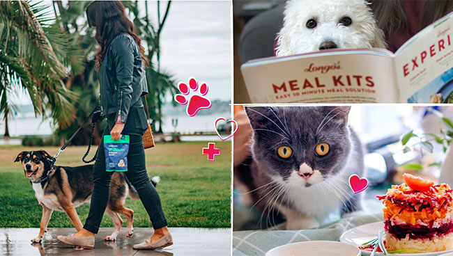The Big Retail Opportunity | Human Wellness Applied to Pets